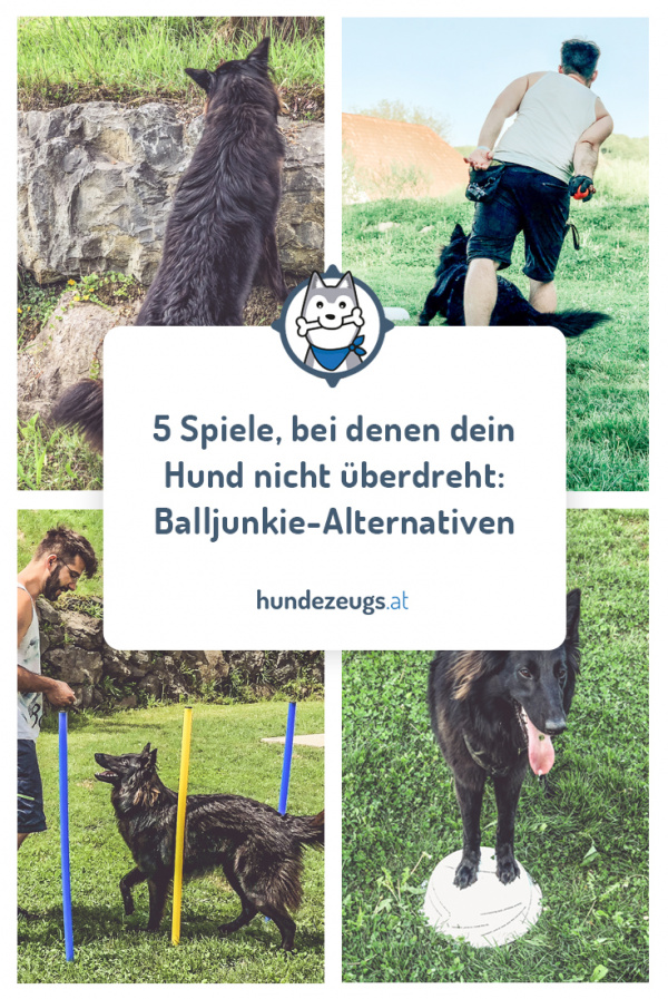 5 Spiele, bei denen dein Hund nicht überdreht Unsere Balljunkie